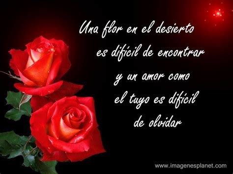 Imagenes De Lindas Rosas Con Frases Romanticas De Amor