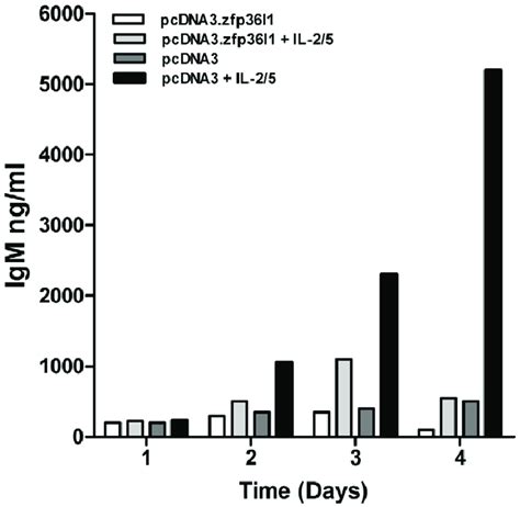 Ectopic Expression Of ZFP36L1 In BCL1 Cells Inhibits Cytokine Induced