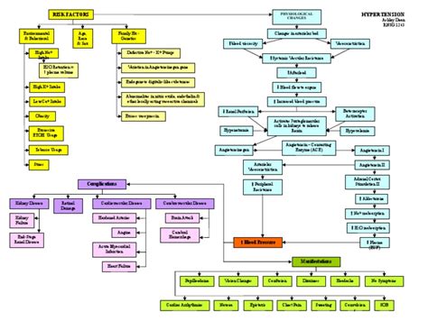 Hypertension Concept Map | PDF | Angiotensin | Hypertension