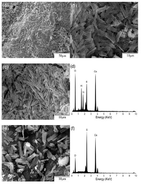 Microstructure Of Concrete Specimens Exposed To Sodium Sulfate Solution