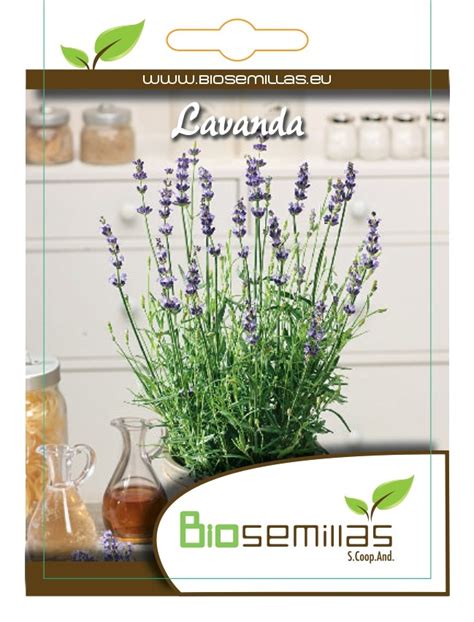 Lavanda Biosemillas Almería Coop