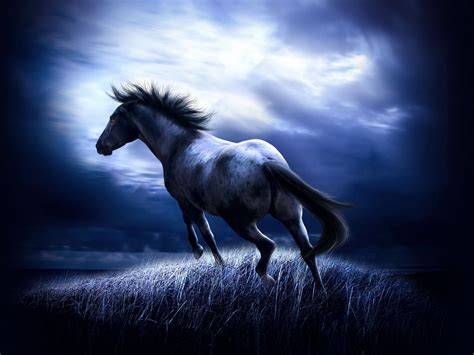 Cartoon Horse Wallpapers - Wallpaper Cave