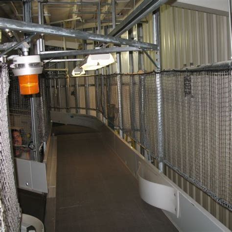 Conveyor Belts Netting Systems And Solutions