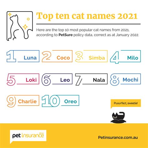 Top 10 Cat Names | Petinsurance.com.au