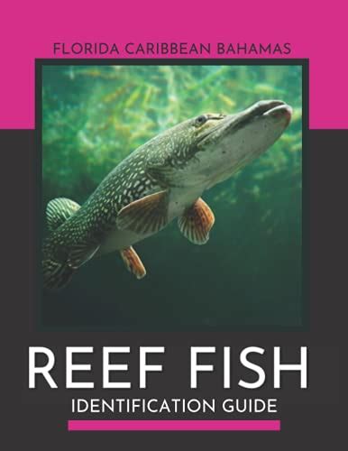 Reef Fish Identification Guide Florida Caribbean Bahamas By Karish Ys