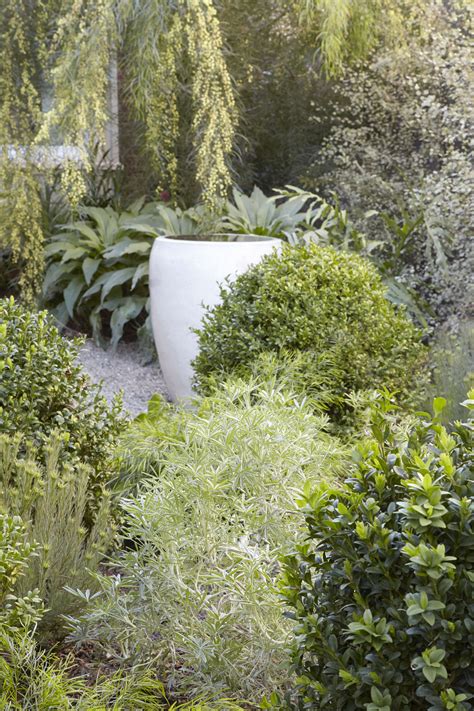 Landscape Designer Visit At Home With Flora Grubb In Berkeley CA