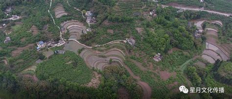 四川乡村振兴重点帮扶村名单出炉 合江这些上榜泸州市