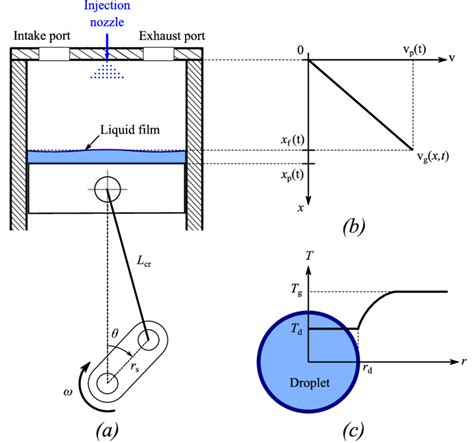 a) Schematic of the reciprocating-piston compressor with a liquid ...