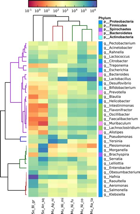 Cluster Heat Map Of Relative Abundance At Genus Level The Color Of The Download Scientific