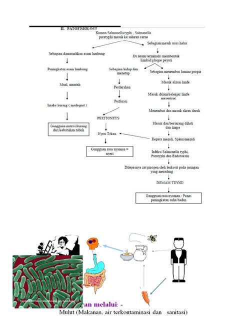 Skema Patofisiologi Demam Typhoid Pdf