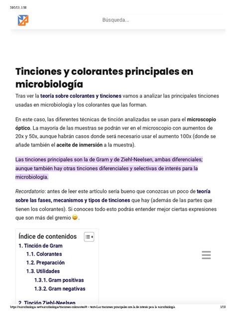 Tinciones Y Colorantes Principales Microbiología Pdf Pdf