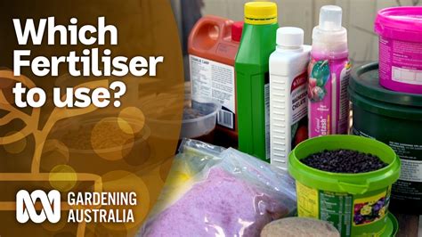 Which Fertiliser To Use Gardening Gardening Australia Youtube