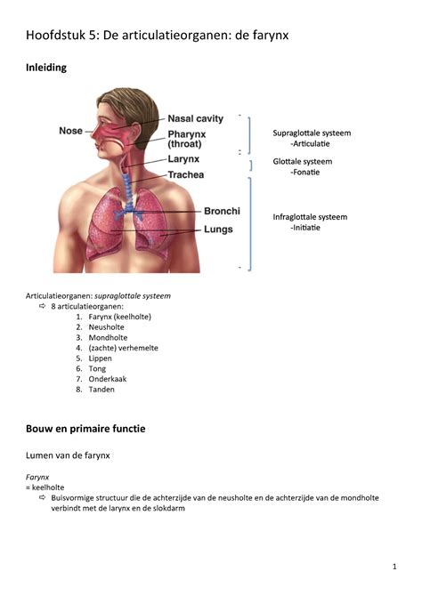 Hoofdstuk 5 SV Samenvatting Anatomie En Fysiologie LAW Hoofdstuk 5