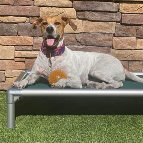 Kuranda® | Elevated, Indestructible & Large Dog Beds