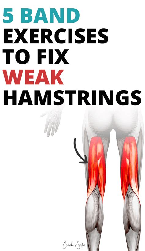 5 Resistance Band Hamstrings Exercises (Do these at home!)