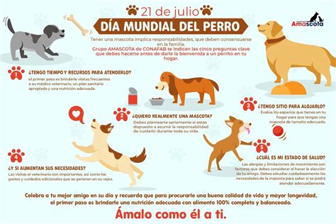 Dia Internacional Del Perro Guia Axialheadlines