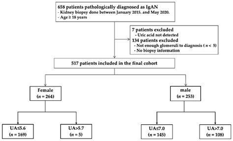 Jcm Free Full Text The Serum Uric Acid Level Is Related To The More