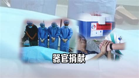 吉林省人体器官捐献十周年，十年间器官捐献志愿登记7 3万人 吉林省 人体器官 志愿 新浪新闻