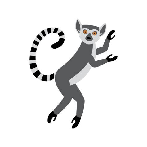 Dancing Lemur Illustrations, Royalty-Free Vector Graphics & Clip Art ...