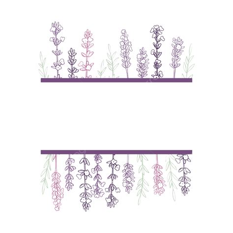 Hand Drawn Frame Vector Art Png Vector Frame With Hand Drawn Lavender