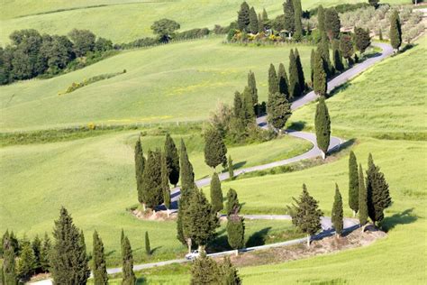 Viaggio In Toscana Ecco I Migliori Itinerari Da Fare