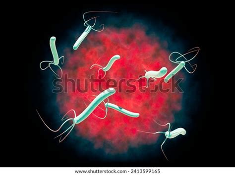 Helicobacter Pylori Gramnegative Flagellated Helical Bacterium Stock ... 
