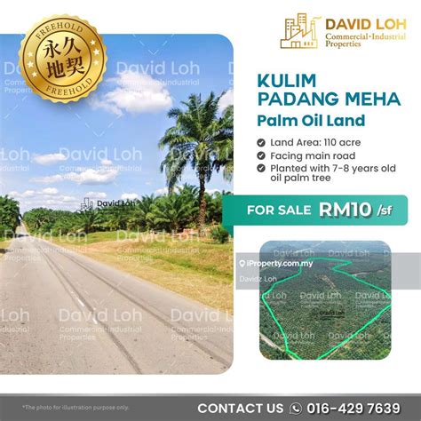 110 Acres Palm Oil Land For Sale Kulim Padang Meha Kulim