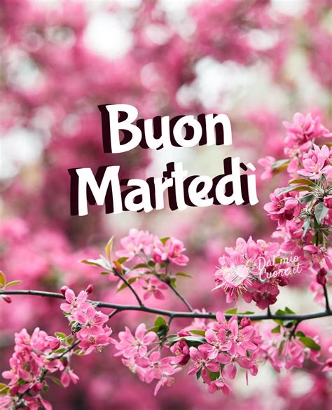 Immagini di Buon Martedì Gratis e Nuove da condividere