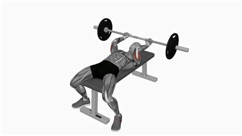 Mastering The Barbell Lying Triceps Skull Crusher A Beginners Guide