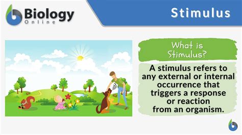 Stimulus - Definition and Examples - Biology Online Dictionary