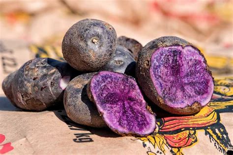 335000 Pounds Of Purple Potatoes Rescued Food Rescue Us