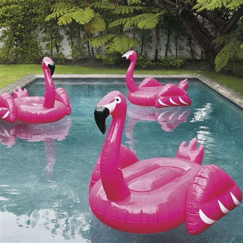 Flamingo Pool Float Flamingo Pool Float Flamingo Pool Pool Floats For Adults