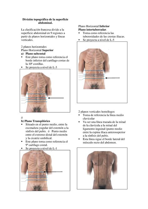 Topografia Abdominal