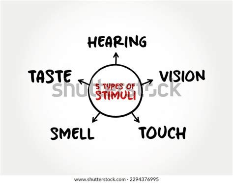 5 Types External Stimuli Divided Into Stock Vector (Royalty Free ...