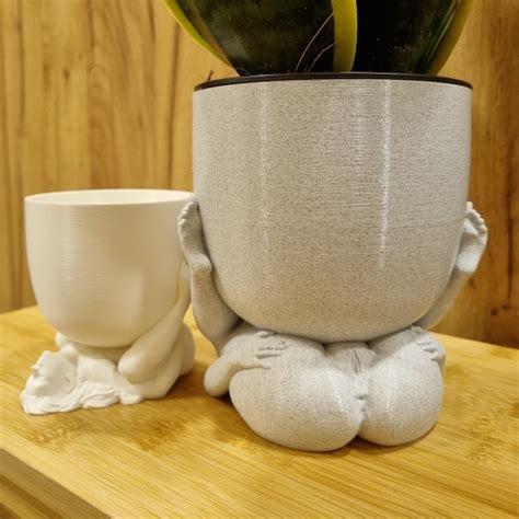 Penis Pot Plants Etsy