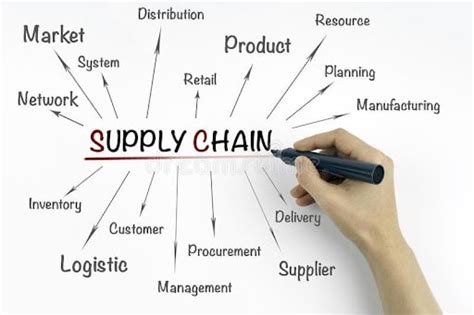 Understanding The Importance Of Supply Chain Diversity