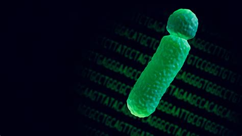 Researchers Assemble The First Complete Sequence Of A Human Y Chromosome