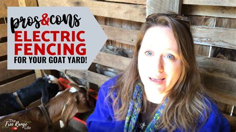 Pros And Cons Of Using Electric Fencing For Goats Youtube