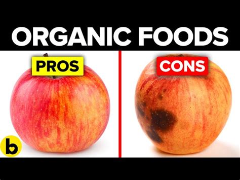 What Are The Cons Of Organic Food Uncovering The Downsides