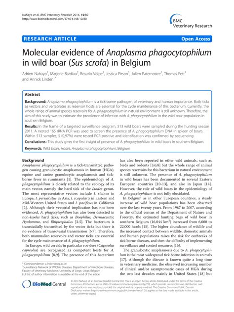 PDF Molecular Evidence Of Anaplasma Phagocytophilum In Wild Boar Sus