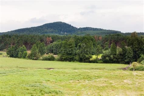 Beautiful Landscape in Ukraine Stock Photo - Image of farmland, fresh ...