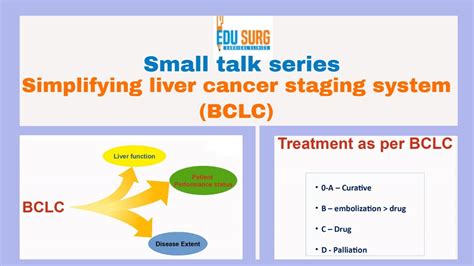 Liver Cancer Stages Barcelona Clinic Liver Cancer Staging System Simplified Youtube