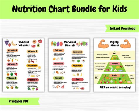 kids nutrition poster bundle vitamins minerals macronutrients