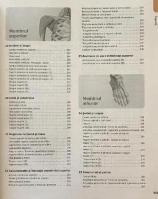 Atlas De Anatomie Nomenclatura Latina Anne M Gilroy Prior