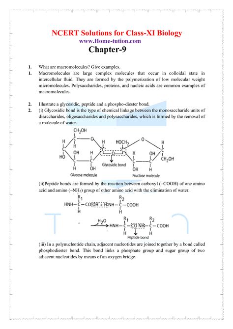 Ncert Solutions For Class 11 Biology Chapter 9 Biomolecules