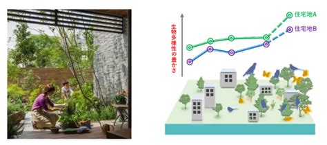 住宅地での生物多様性の純増目指す 積水ハウスがスタートアップと連携 環境ビジネスオンライン