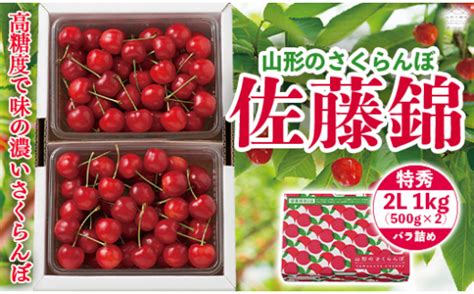 《先行予約》【山形の極み】さくらんぼ佐藤錦 1kg（2l）バラ詰 F2y 5201 山形県｜ふるさとチョイス ふるさと納税サイト