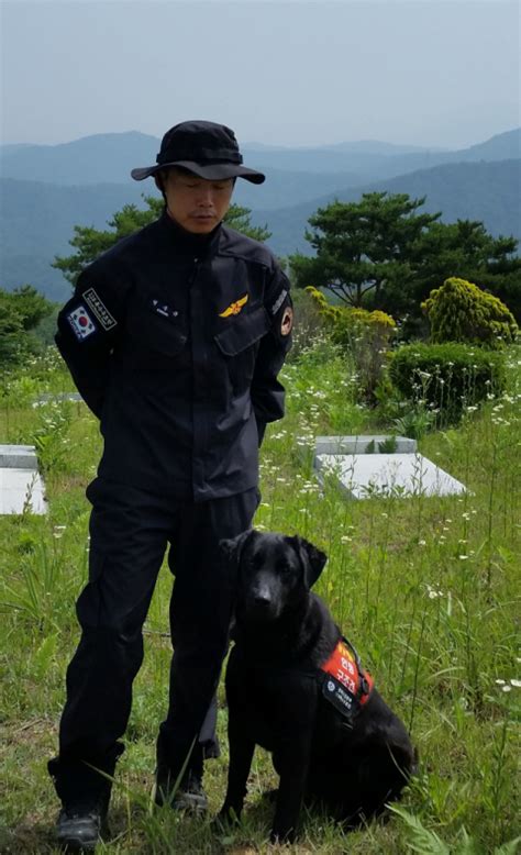 인명구조견 80대 실종노인 구조 대구일보