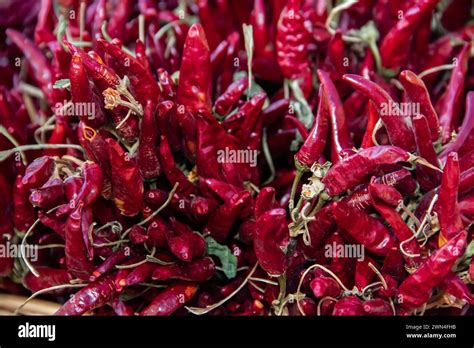 Red Hot Chilly Peppers In Bucket Pattern Texture Background Close Up Landscape A Backdrop Of