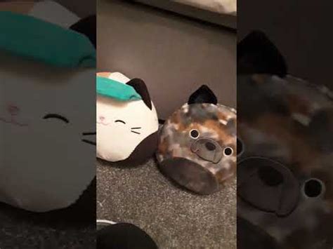 memes of squishmallows - YouTube